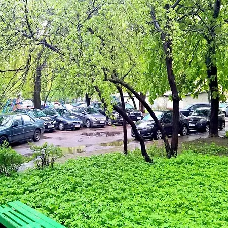Near Institut Kultury *